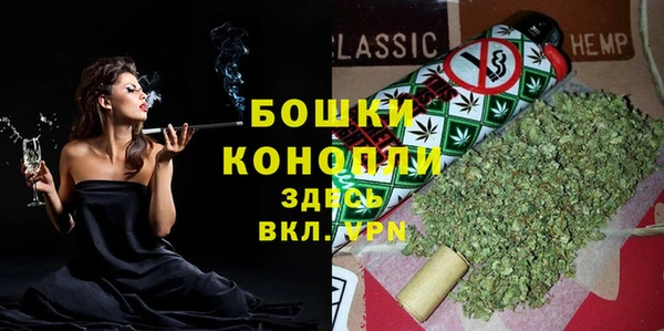 ГАЛЛЮЦИНОГЕННЫЕ ГРИБЫ Елабуга