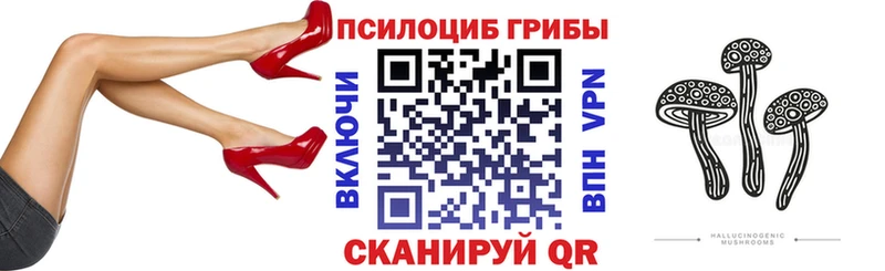 как найти закладки  блэк спрут ссылки  Псилоцибиновые грибы MAGIC MUSHROOMS  Муравленко 